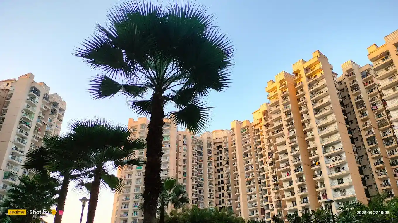 Nirala Estate Tower View